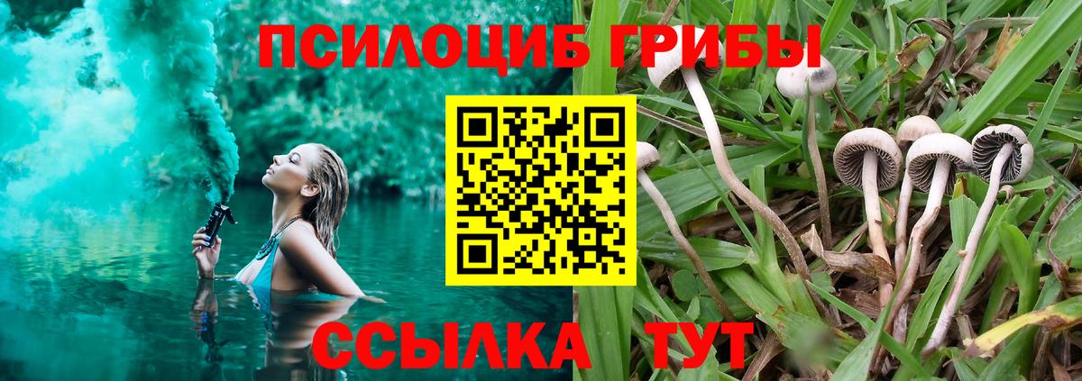 Галлюциногенные грибы прущие грибы Усолье-Сибирское