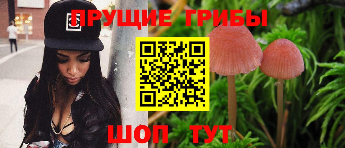 Галлюциногенные грибы Psilocybine cubensis  Вход с VPN  Усолье-Сибирское 